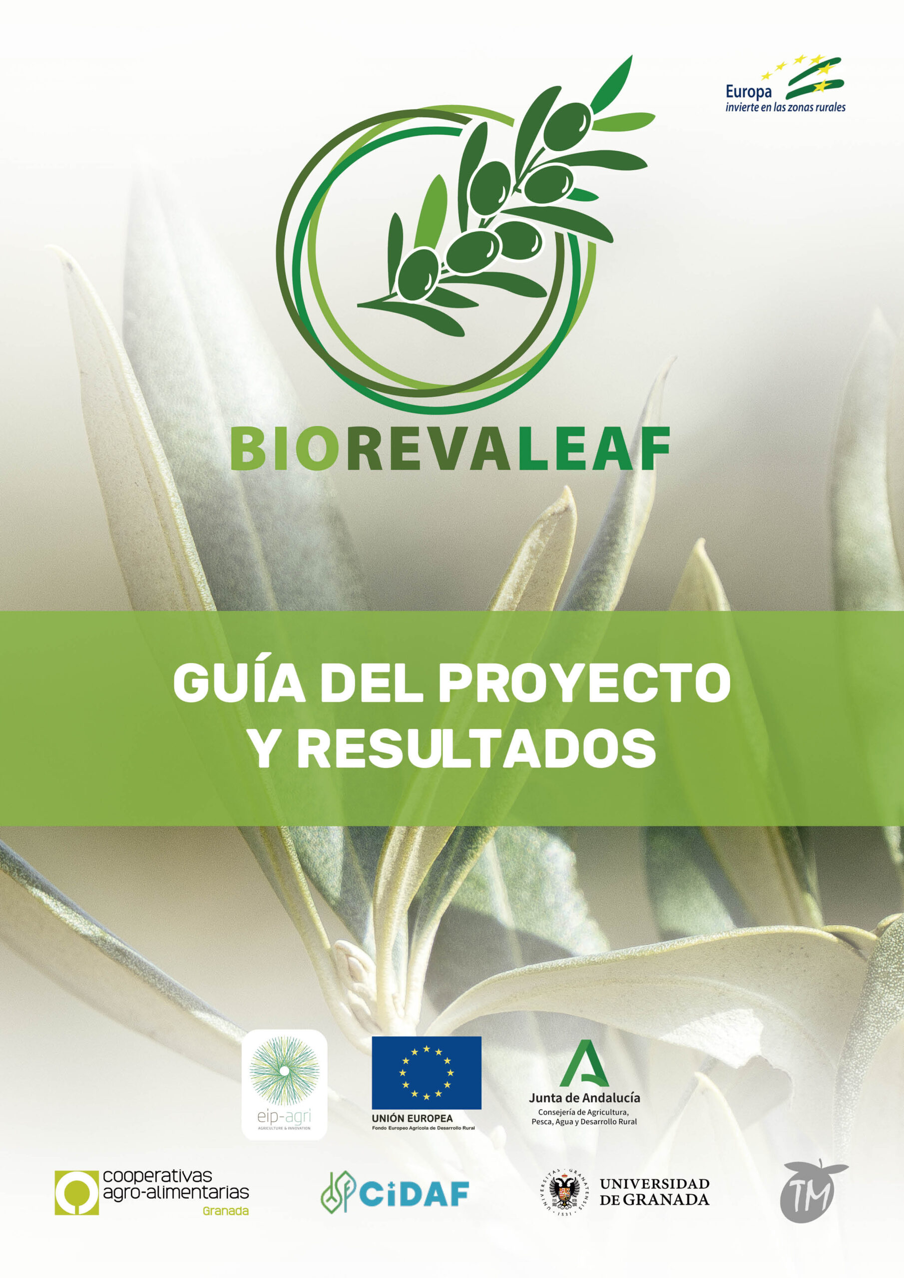 Guía del proyecto y resultados – GO BIOREVALEAF